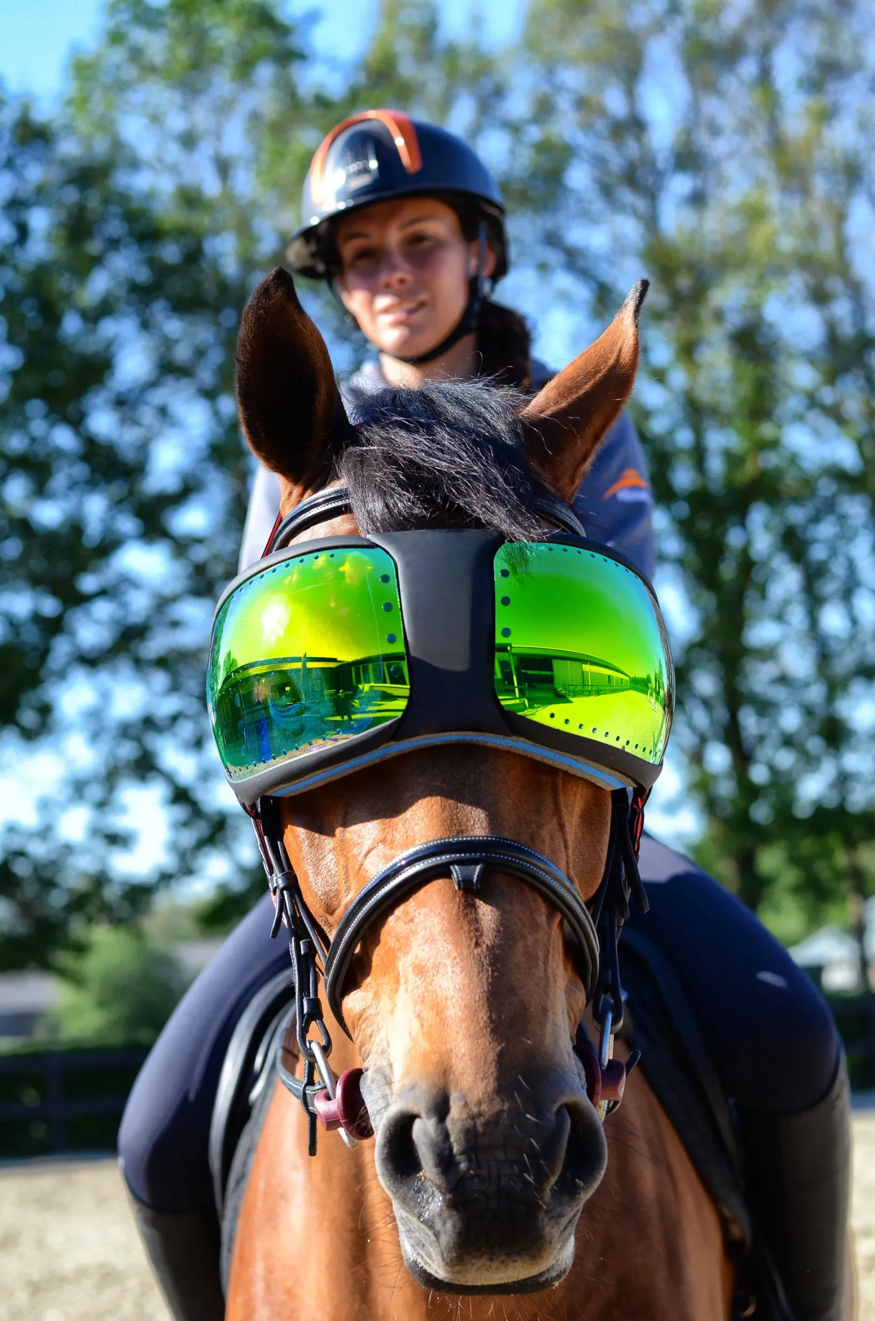 Equine Pro Replacement Lenses – UV400 Protection for Horse Riding Goggles 🐴🕶️✨