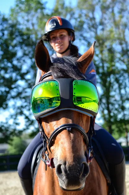 Equine Pro Replacement Lenses – UV400 Protection for Horse Riding Goggles 🐴🕶️✨