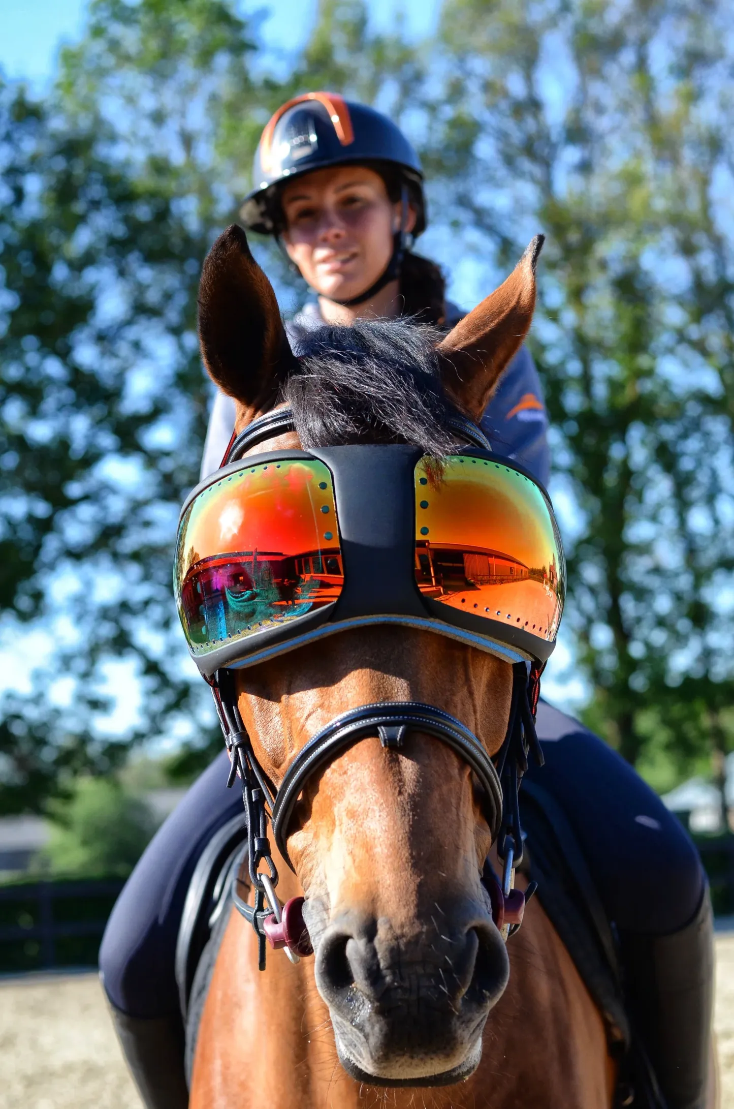 Equine Pro Replacement Lenses – UV400 Protection for Horse Riding Goggles 🐴🕶️✨