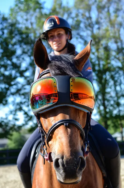 Equine Pro Replacement Lenses – UV400 Protection for Horse Riding Goggles 🐴🕶️✨