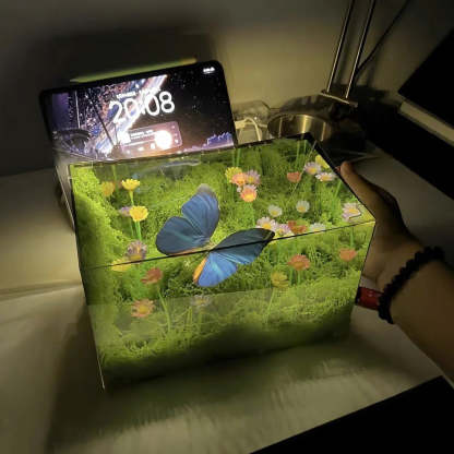 Butterfly Infinity Box – Life-Like Motion with Endless Reflection and Calming Lighting