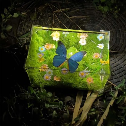 Butterfly Infinity Box – Life-Like Motion with Endless Reflection and Calming Lighting