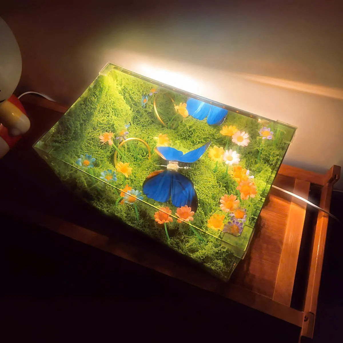 Butterfly Infinity Box – Life-Like Motion with Endless Reflection and Calming Lighting