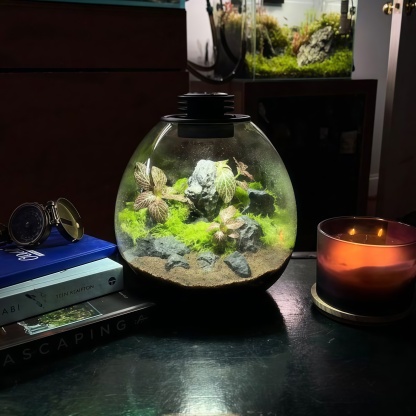 LED Glass Terrarium – Desktop Miniature Ecosystem Container with Integrated Lighting 🌱💡✨