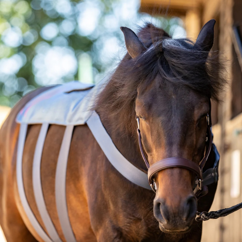 Smart Heated Horse Massage Pad