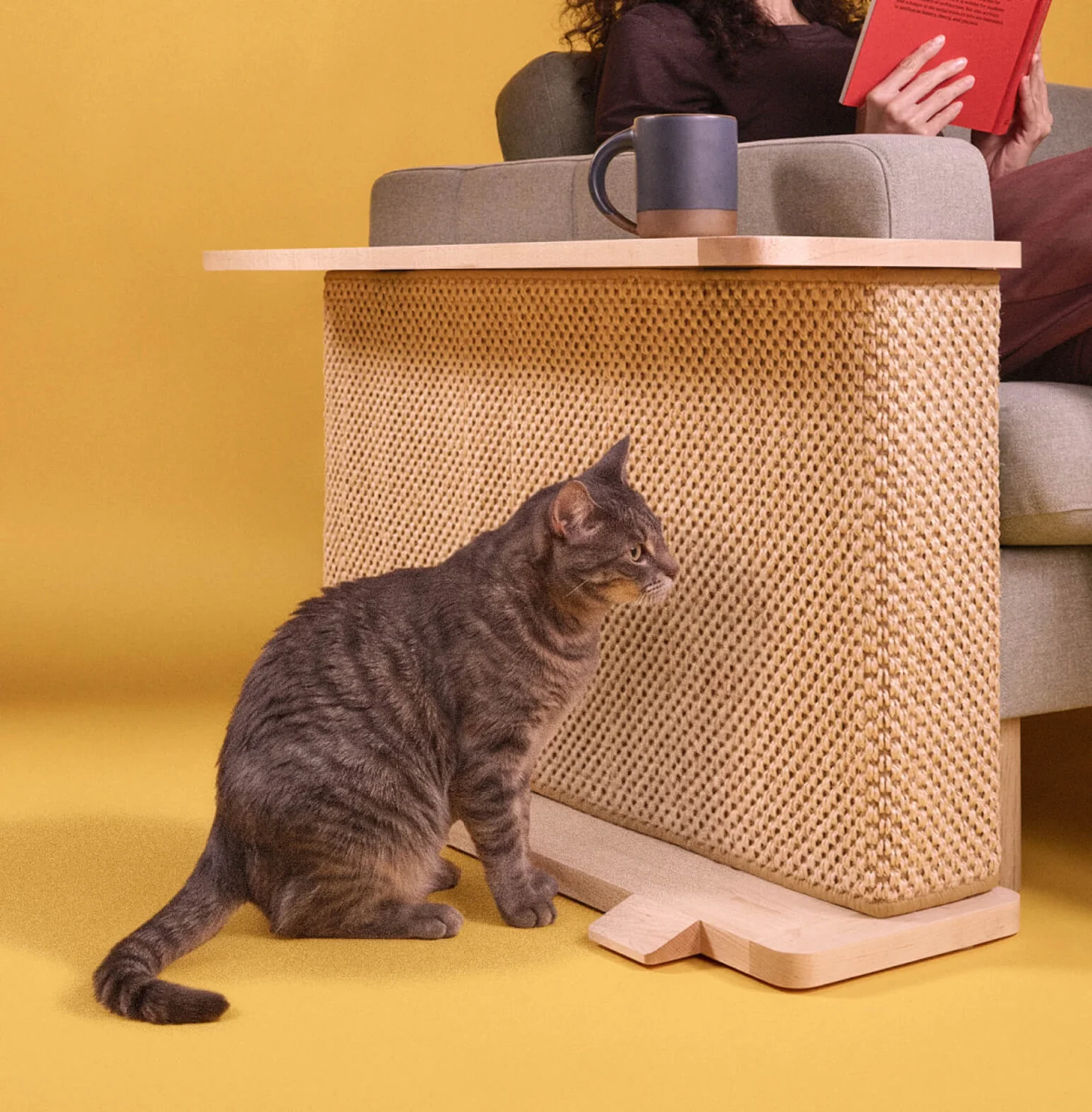 Solid Wood Cat Side Table — A Stylish Corner for You & Your Cat