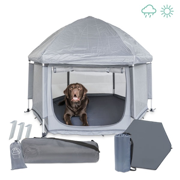 Dog relaxing inside portable playpen