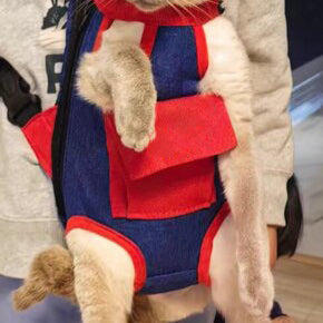Pet Carrier Backpack