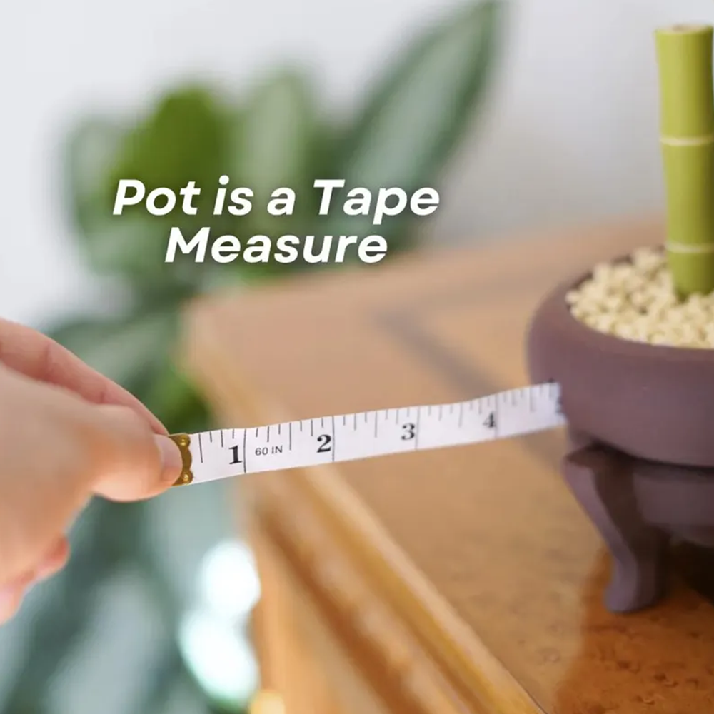 Bamboo desktop toolbox (optional set)