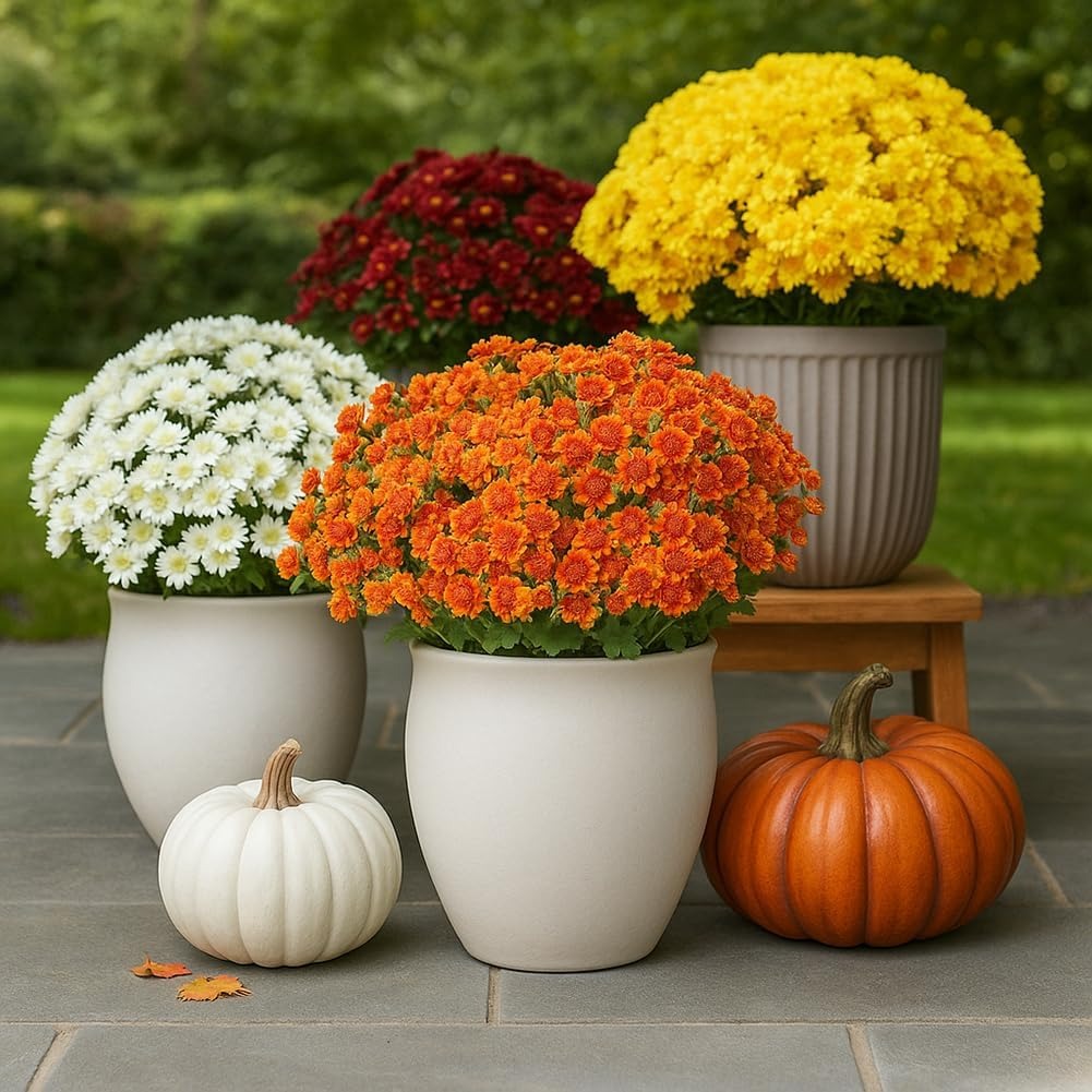 💥$9.98 On Sale Today Only🌼- Artificial Outdoor Sunset Mums Flowers - UV resistant, Waterproof, Windproof