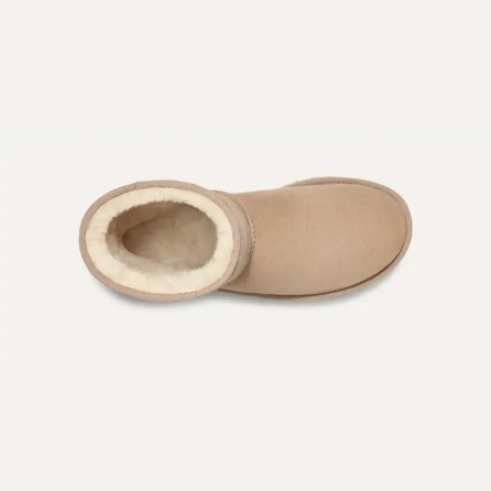 Women's Classic Short II