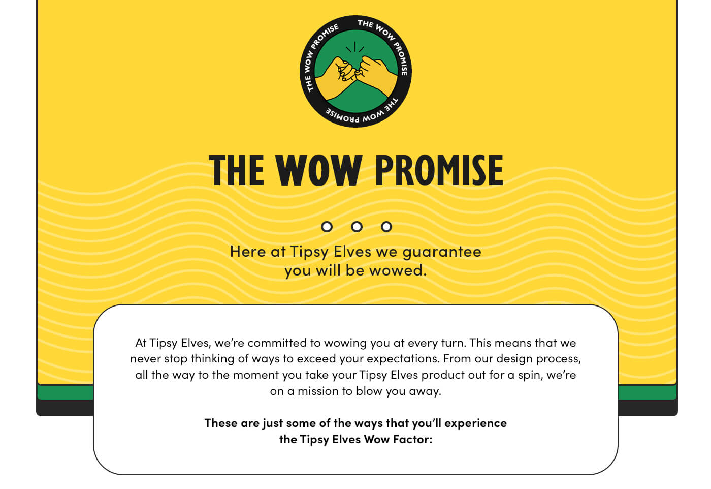 The WOW promise - image + text blurb 