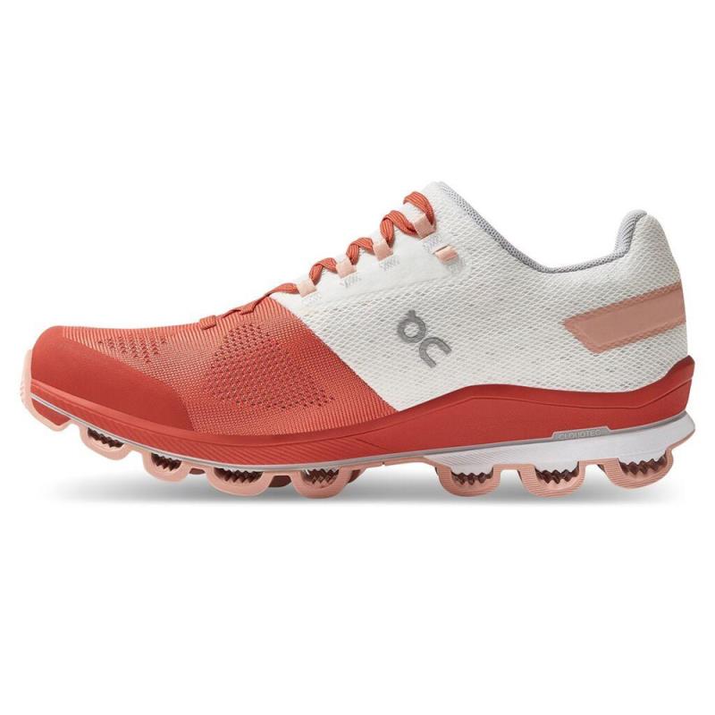 surfer 3.0 Rust Rose