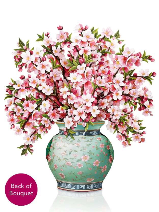 Japanese Cherry Blossoms