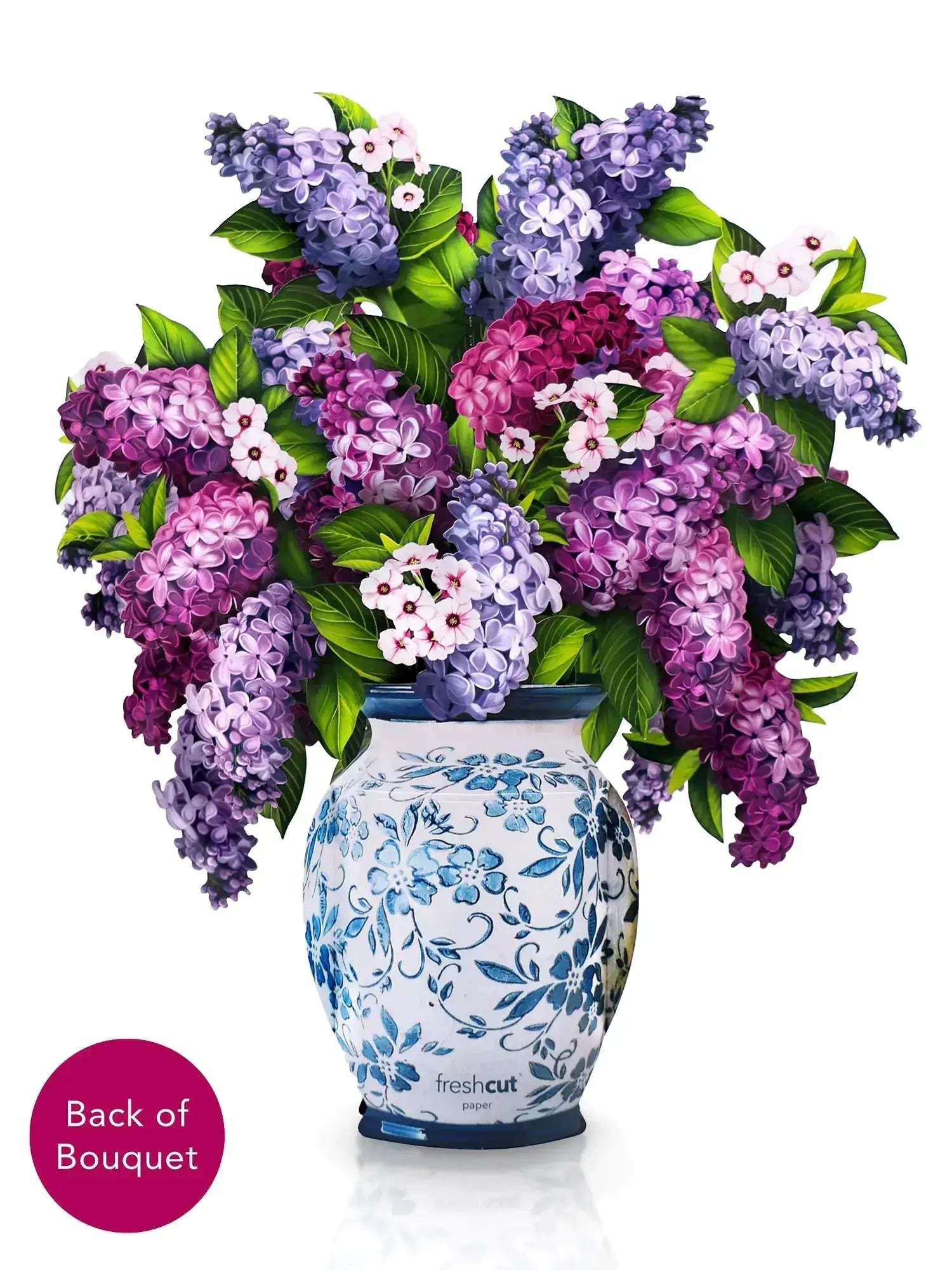 Grande Garden Lilacs