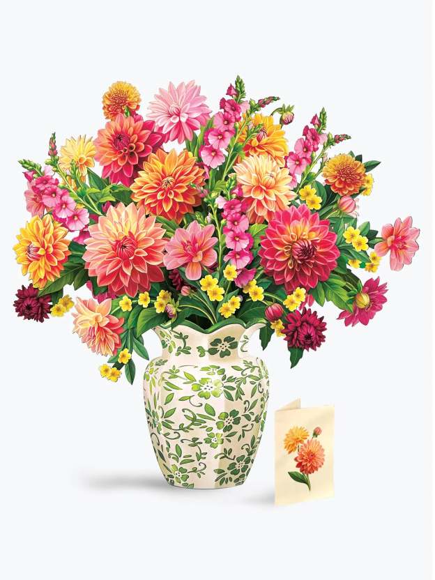 Grande Dahlia Sunrise