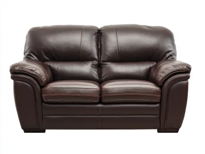 Sofá 2 plazas tapizado 163x92x96 cm - marrón oscuro - estilo contemporáneo en piel con brazos acolchados