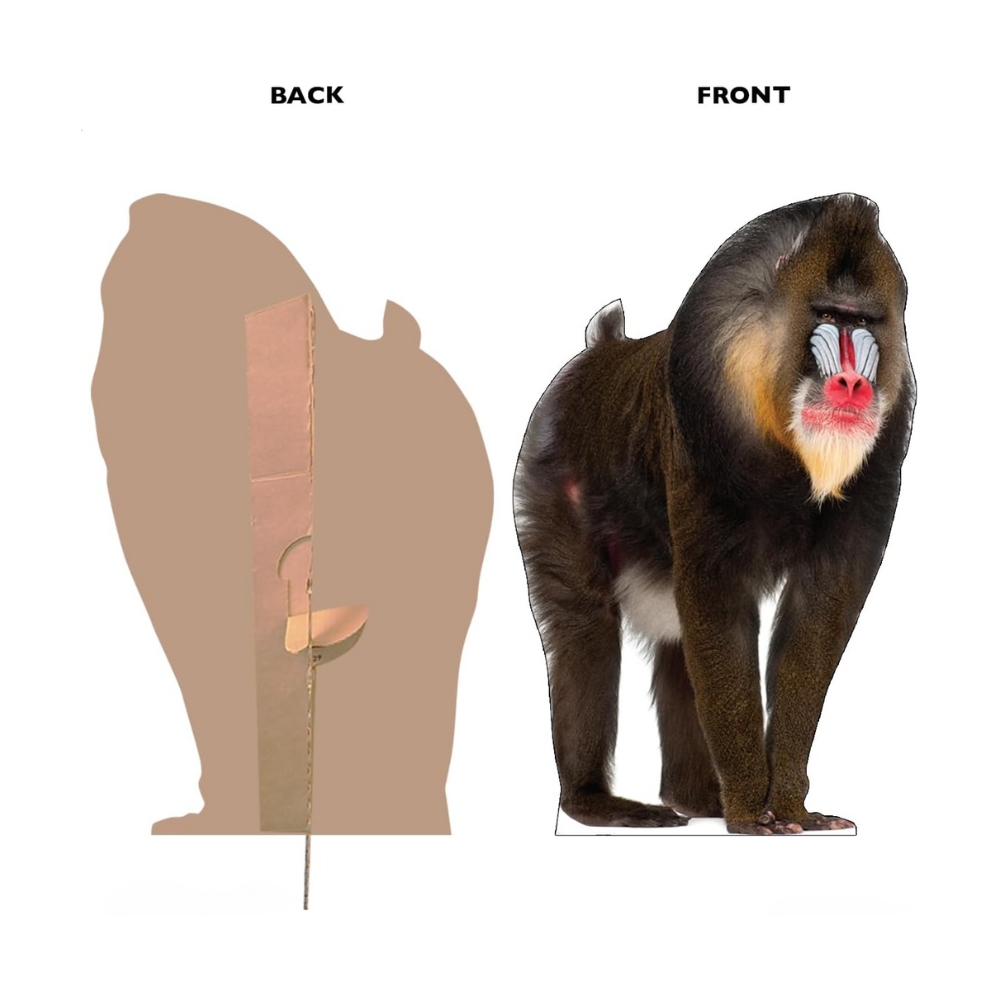 Mandrill Life-Size Cutout