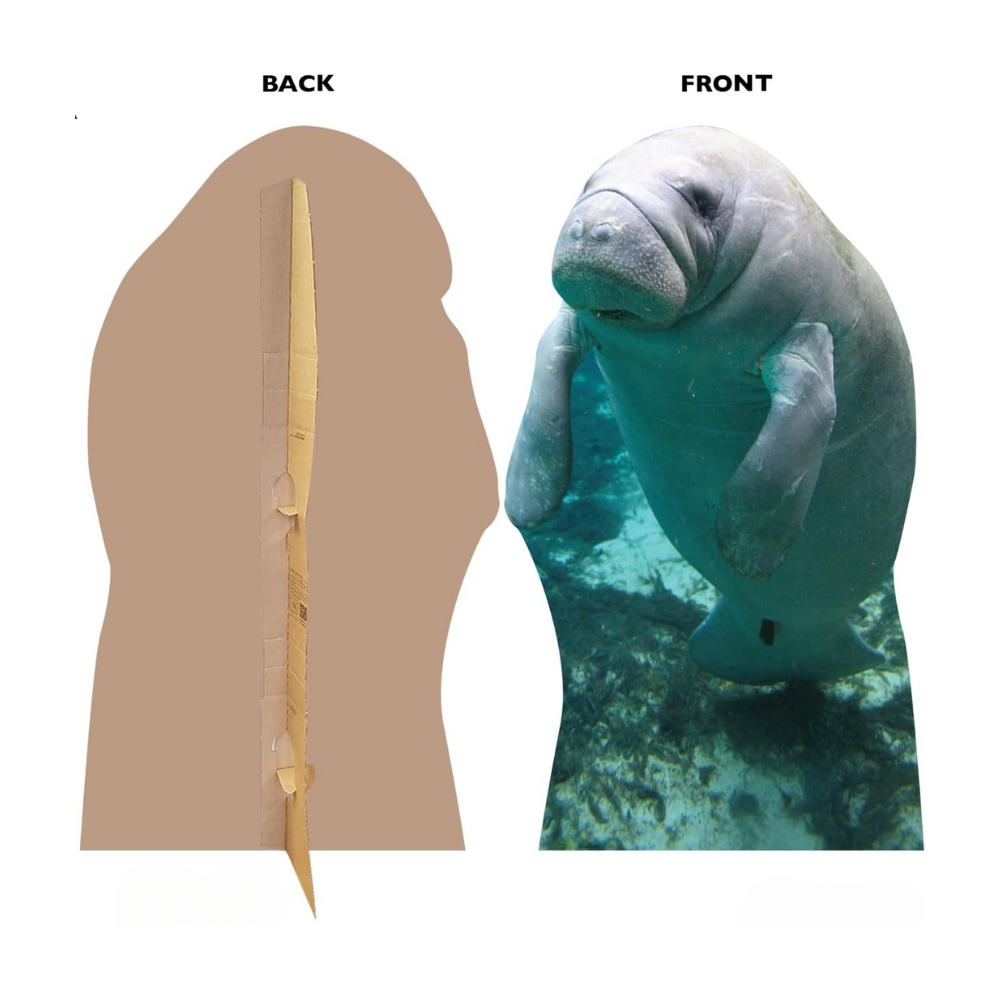 Manatee Life-Size Cutout