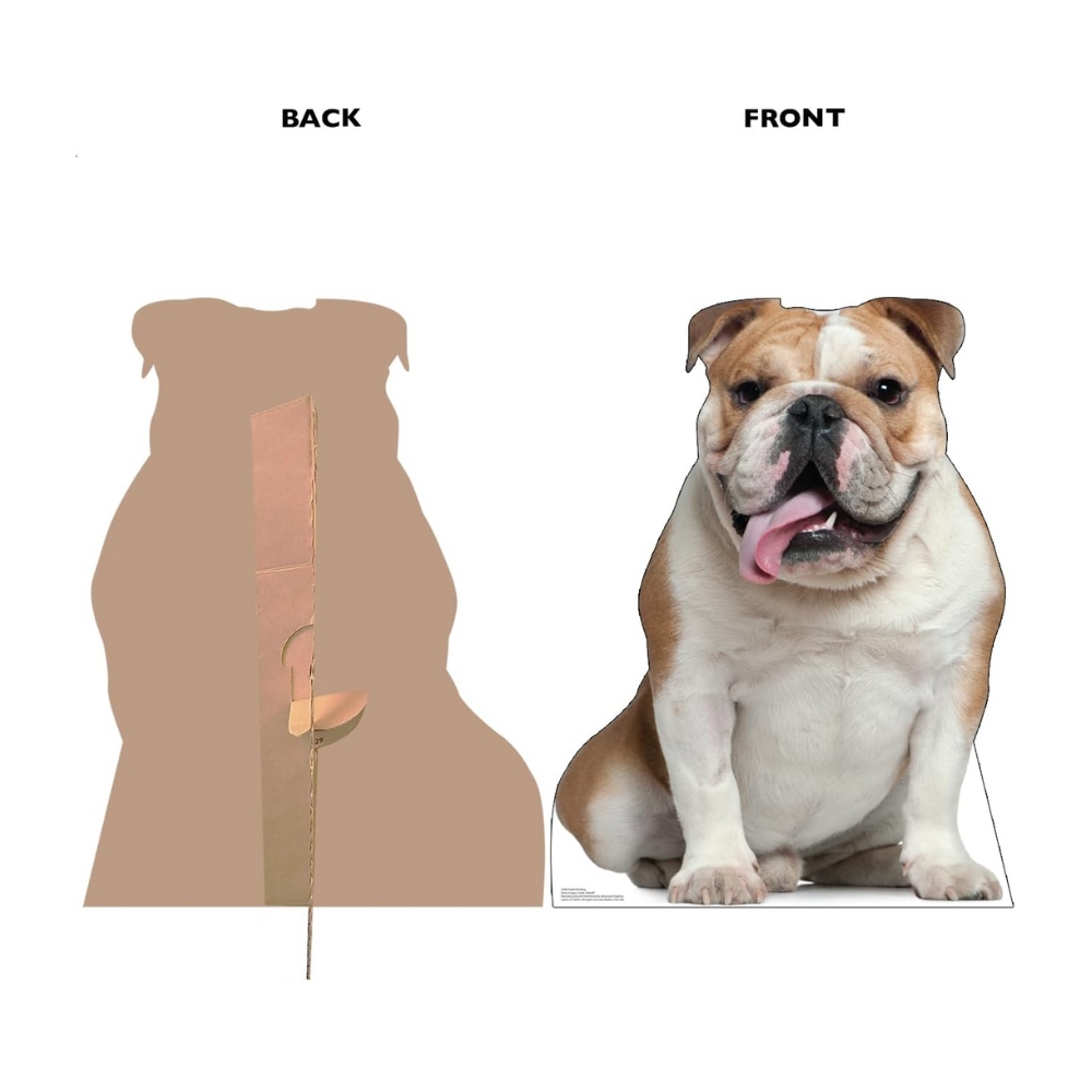 English Bull Dog Life-Size Cutout