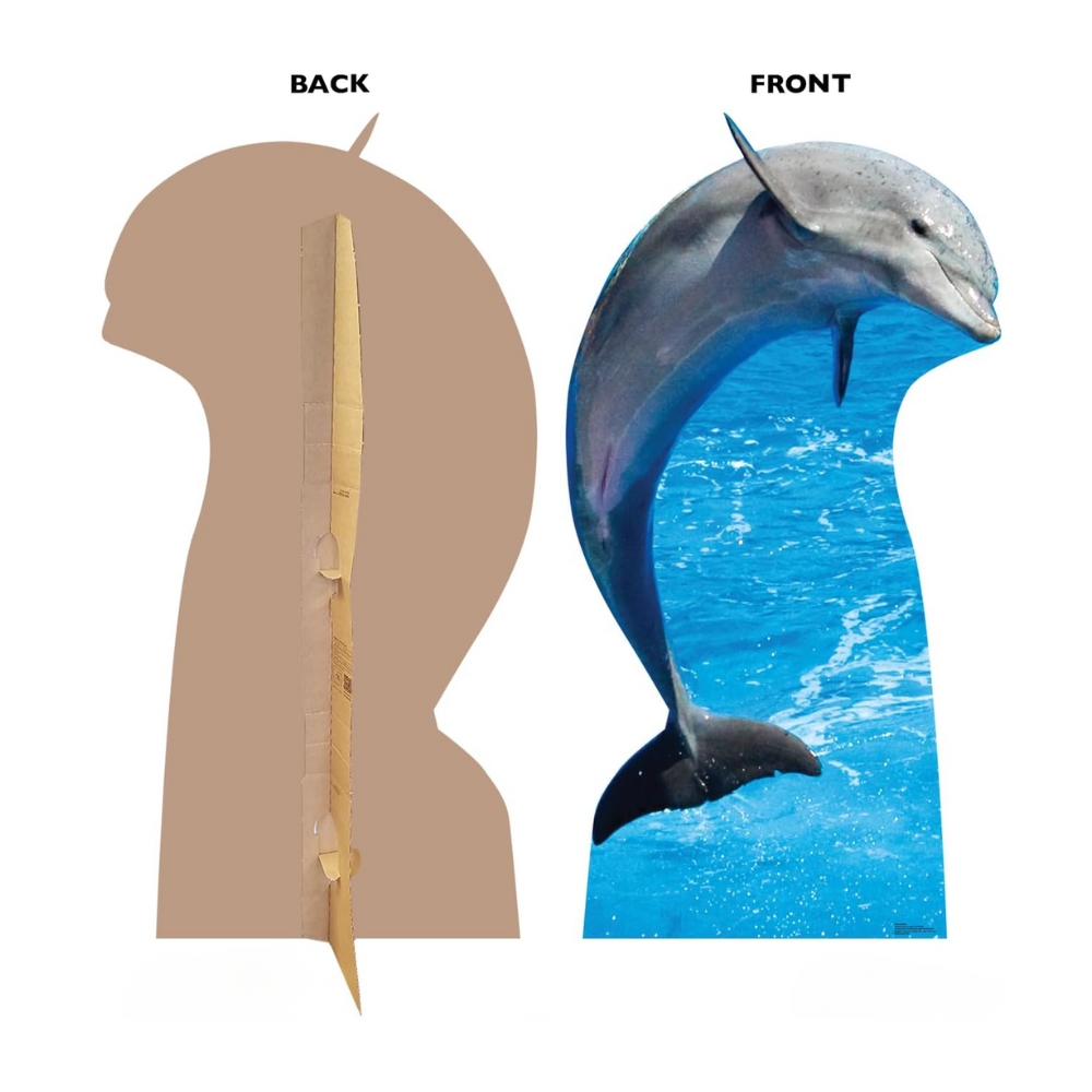 Dolphin Life-Size Cutout