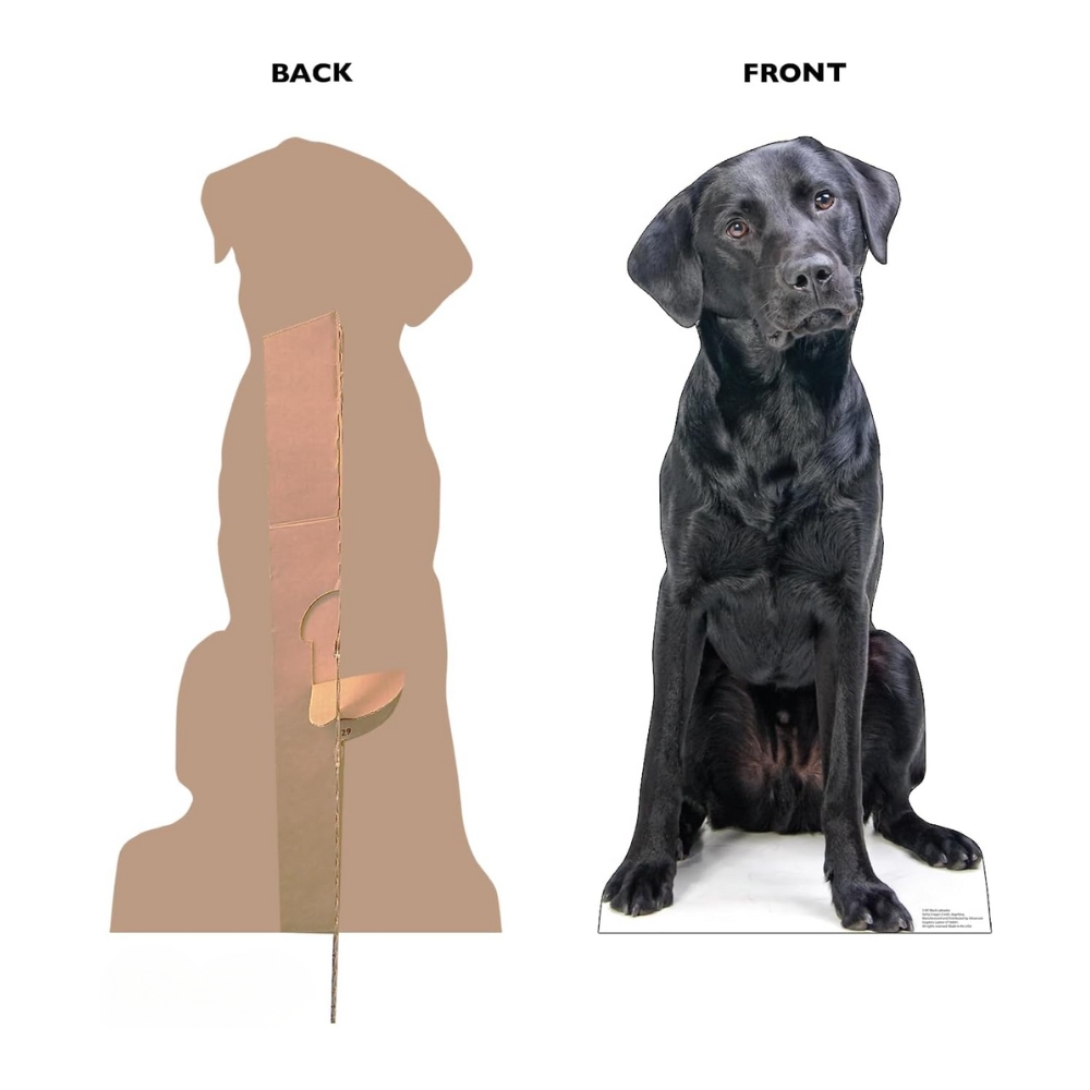 Black Labrador Life-Size Cutout