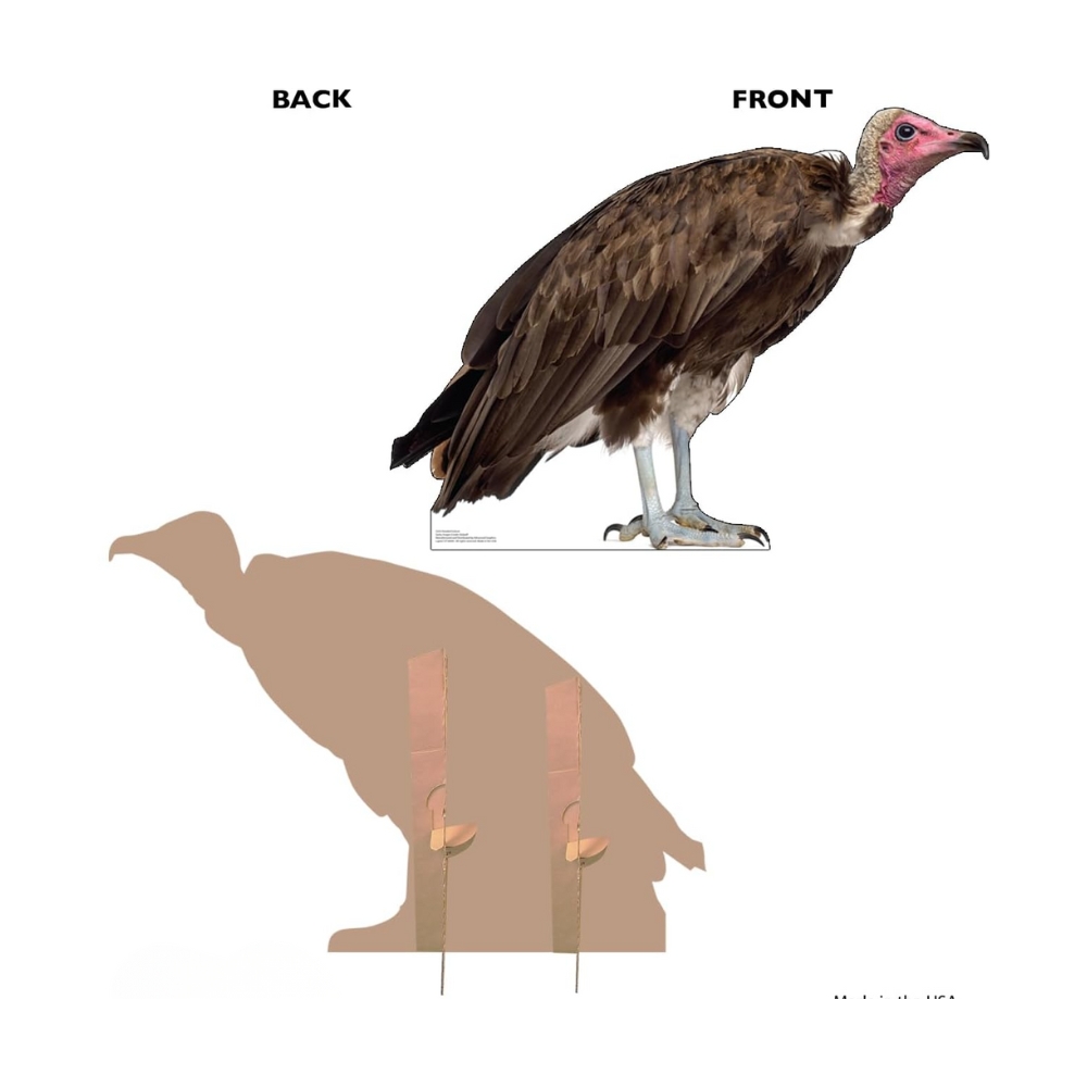 Hooded Vulture Life-Size Cutout