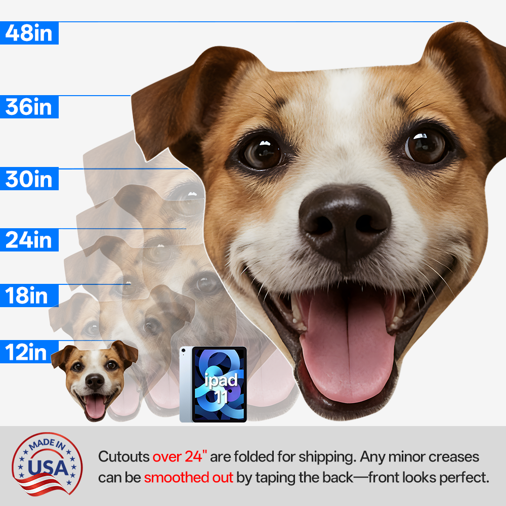 Pet big head cutout size chart