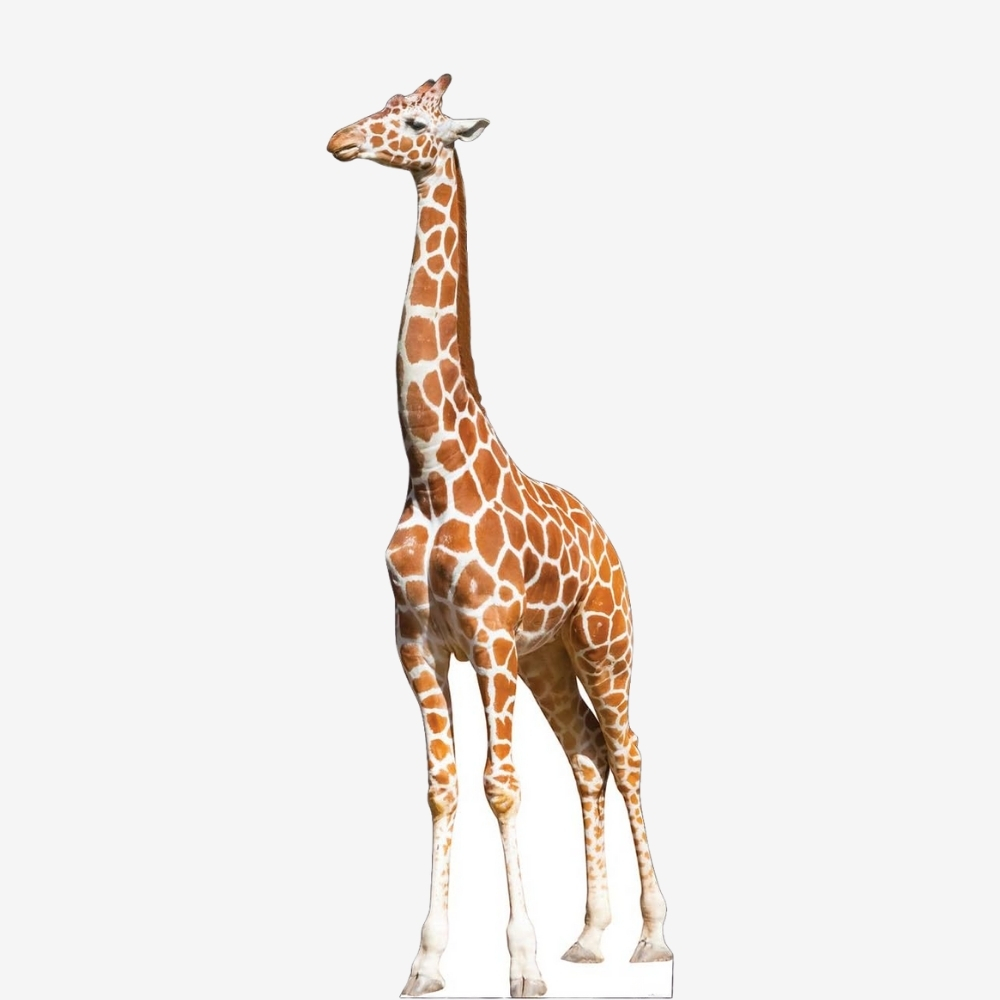 Giraffe Life-Size Cutout