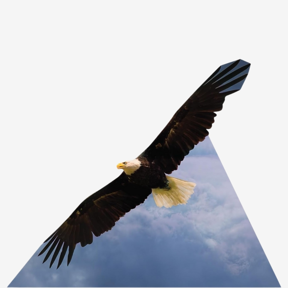 American Eagle Life-Size Cutout