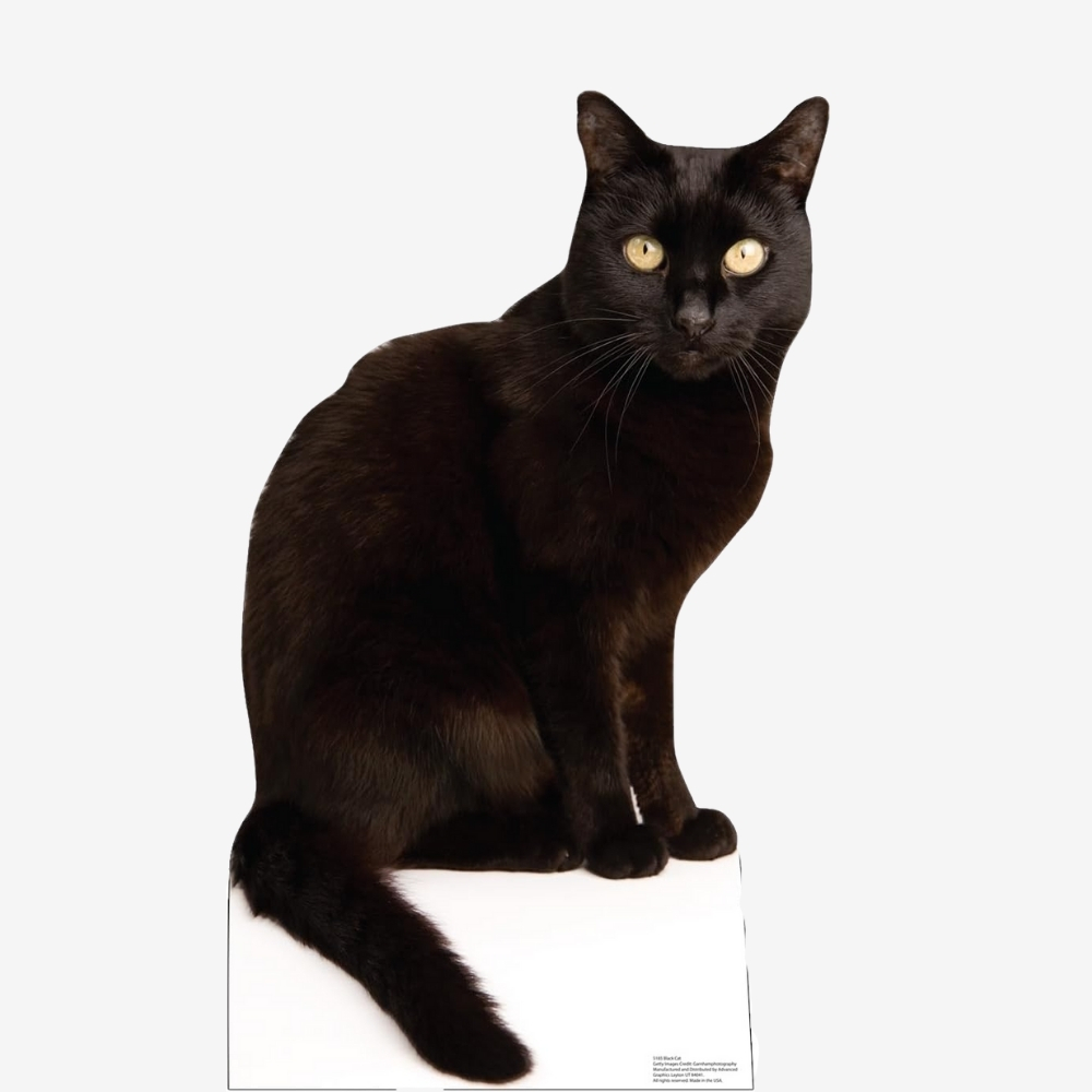 Black Cat Life-Size Cutout