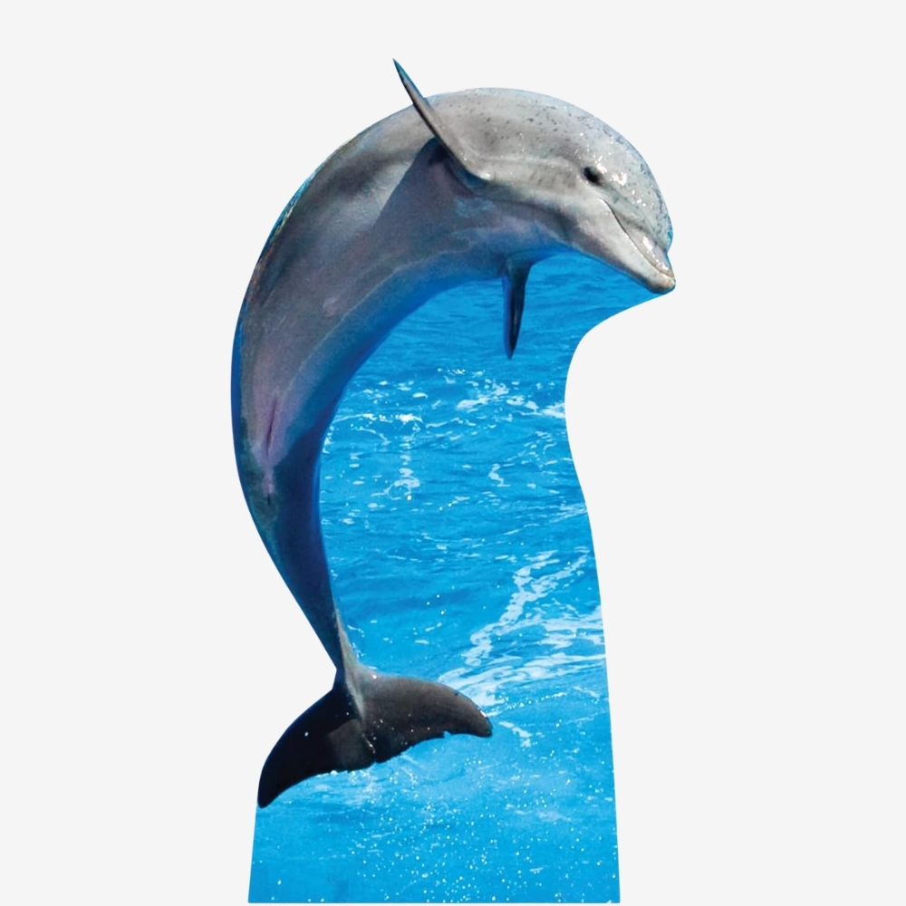 Dolphin Life-Size Cutout