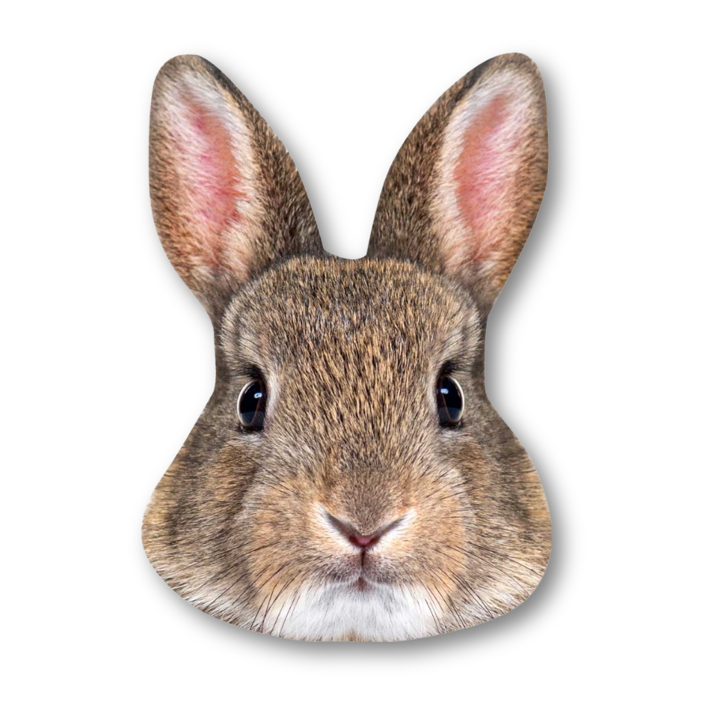 Custom Pet Big Head Cardboard Cutouts