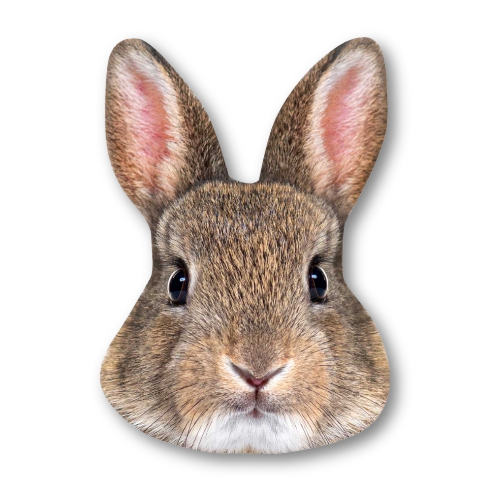 Custom Pet Big Head Cardboard Cutouts