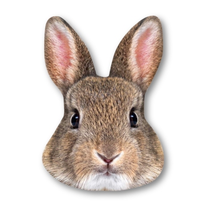 Custom Pet Big Head Cardboard Cutouts