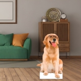 Custom Life-Size Cardboard Cutouts for Pets & Animals