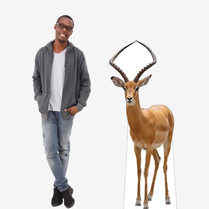 Impala Life-Size Cutout