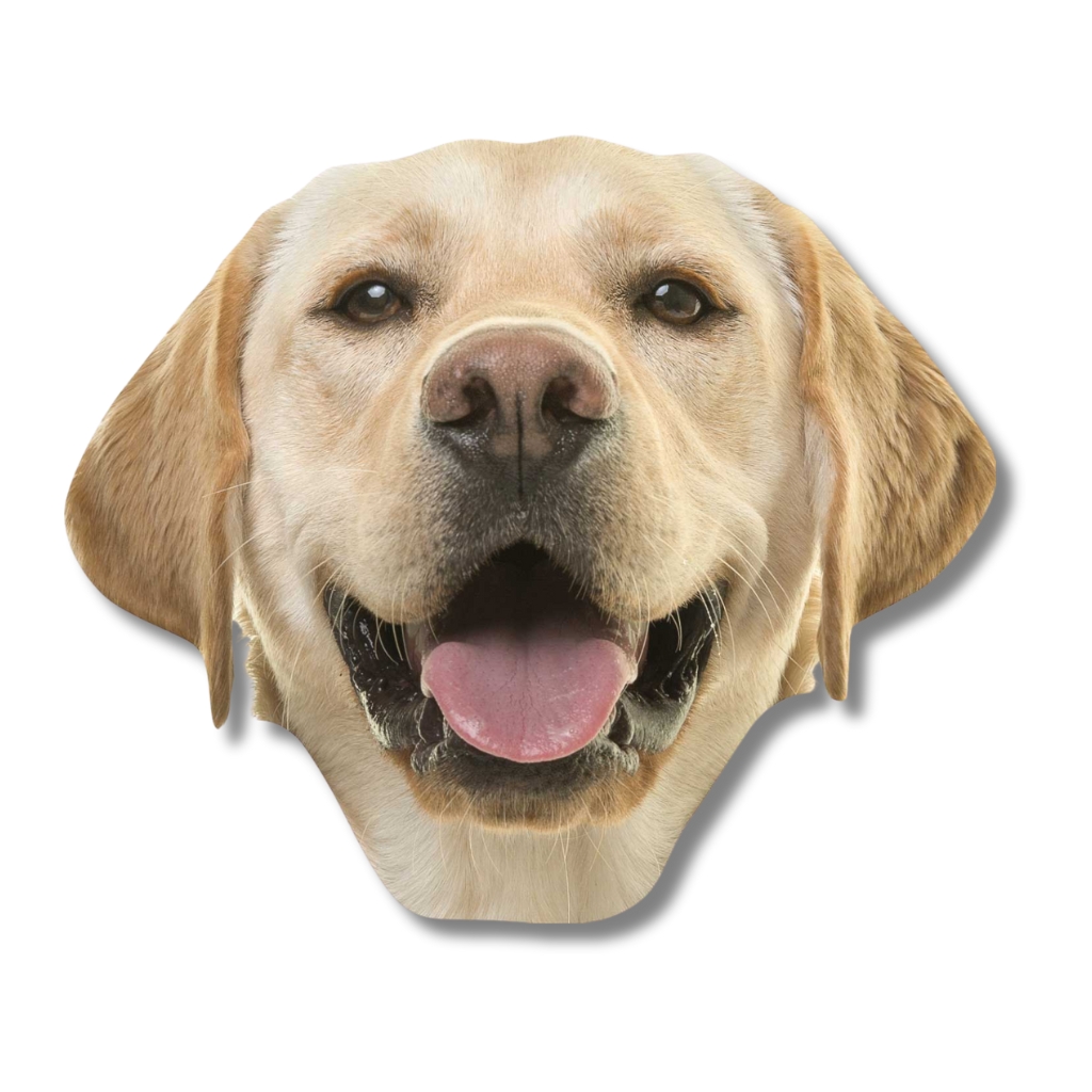 Custom Pet Big Head Cardboard Cutouts