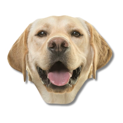 Custom Pet Big Head Cardboard Cutouts