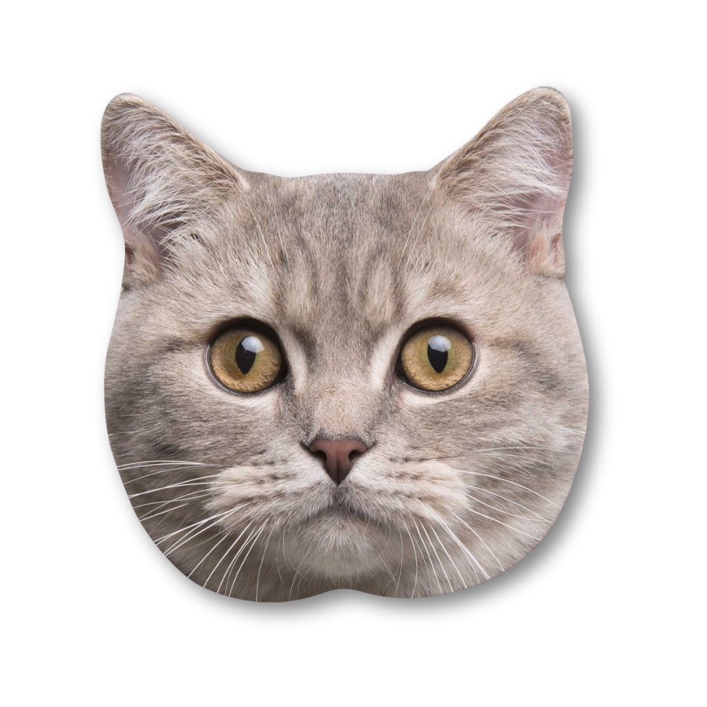 Custom Pet Big Head Cardboard Cutouts