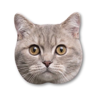 Custom Pet Big Head Cardboard Cutouts