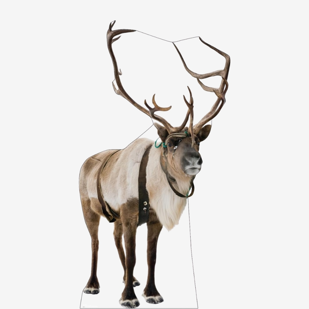 Reindeer Life-Size Cutout