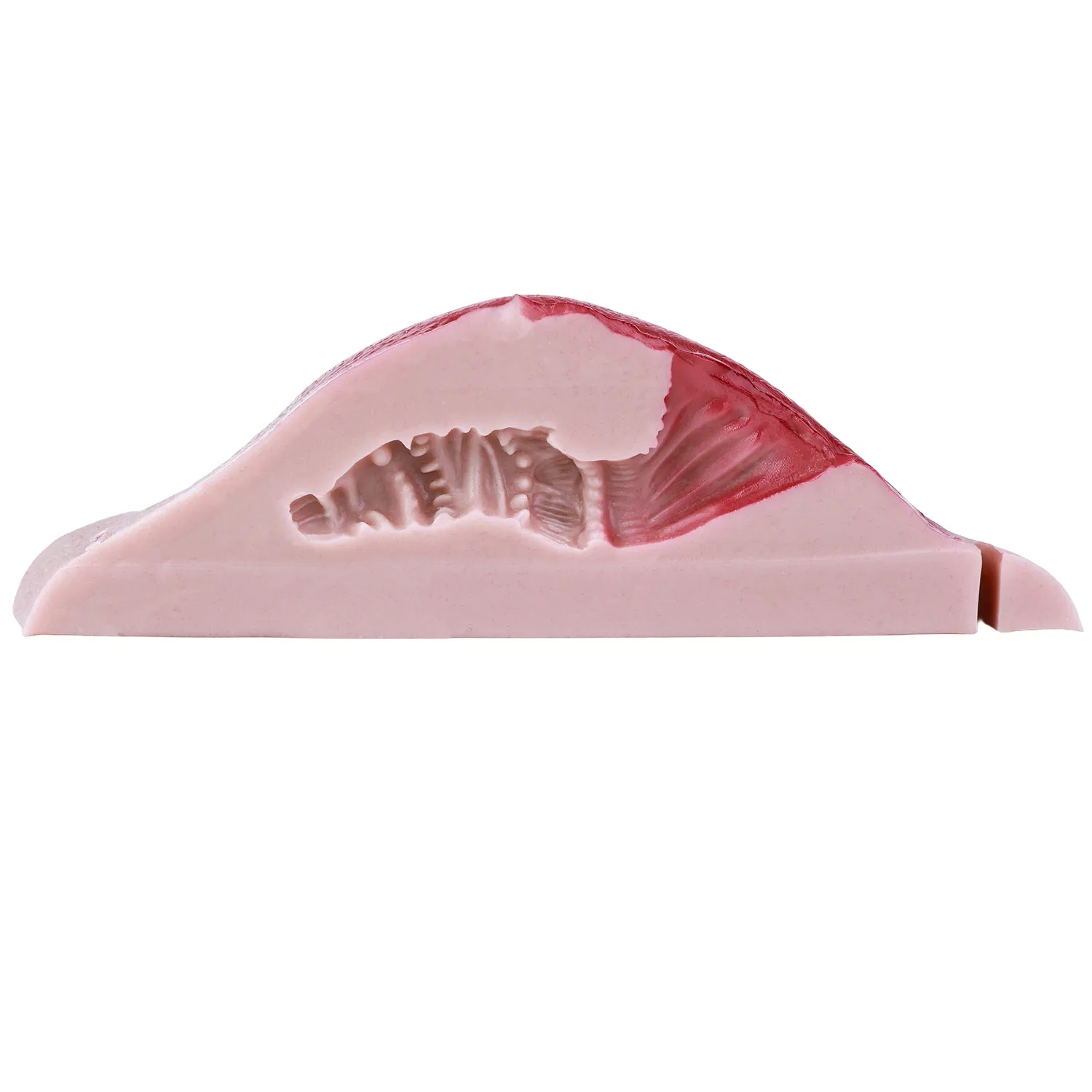 Mia Leather Wearable Realistic Vagina Pants for Crossdresser, Soft Silicone Fake Vagina with Textured Interior