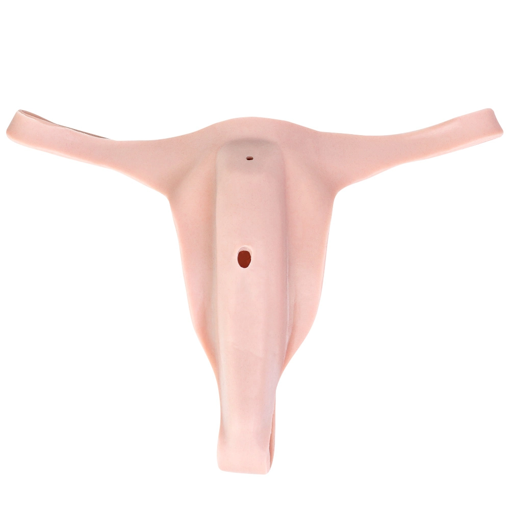 Stella Realistic Silicone Vagina Thong for Transgender & Crossdresser