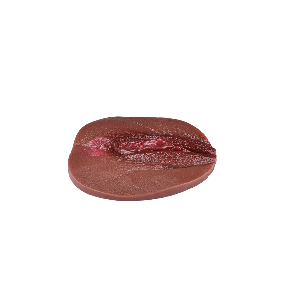 Zoe Realistic Silicone Fake Vagina Pad, Skin-Friendly 