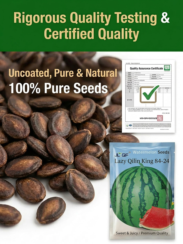 【Buy 2 Get 1 Free, today only!】Hot-selling watermelon seeds, mature and bear fruit in 35 days!
