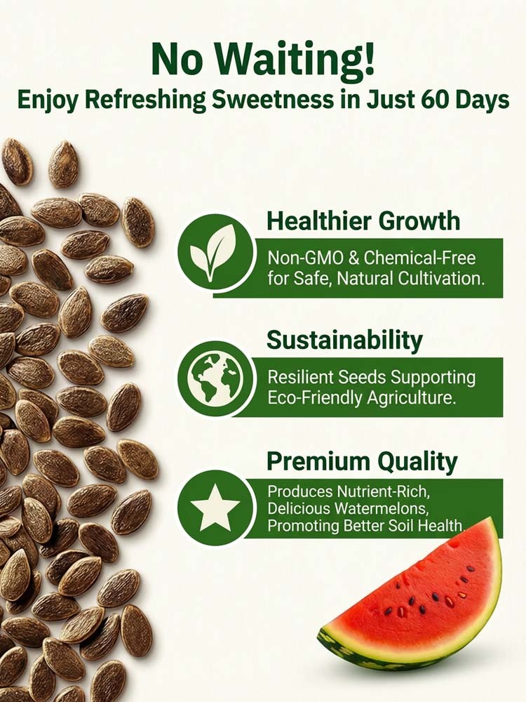 【Buy 2 Get 1 Free, today only!】Hot-selling watermelon seeds, mature and bear fruit in 35 days!