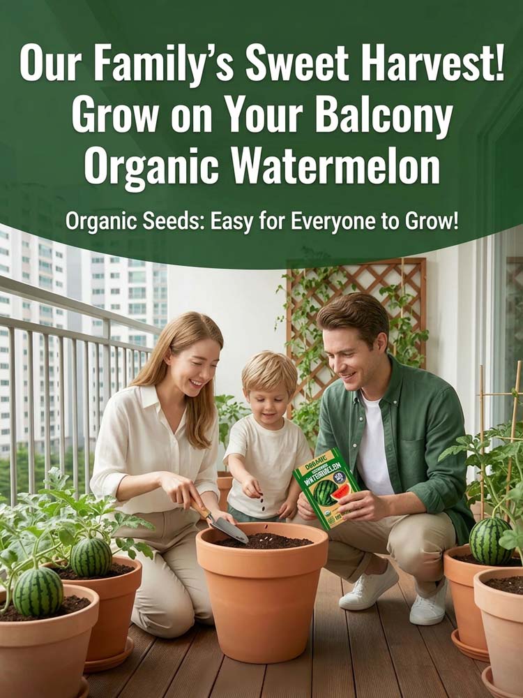 【Buy 2 Get 1 Free, today only!】Hot-selling watermelon seeds, mature and bear fruit in 35 days!