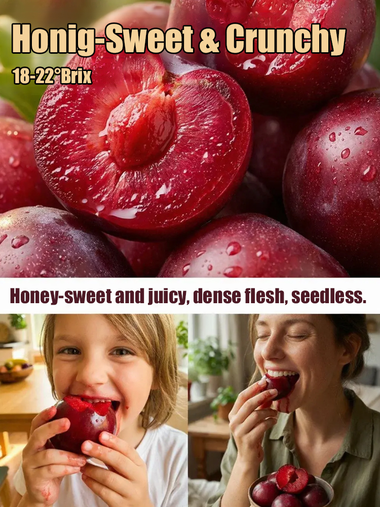🍎Larger than an Apple, Seedless, Sweet and Juicy, 🥂Plant Now, Enjoy All Year Round