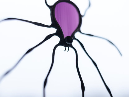 Stained Glass Window Hangings